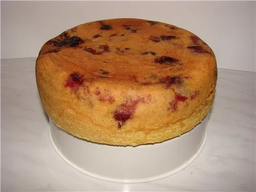Шарлотка сливовая