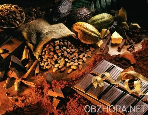 Кисель с какао