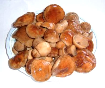 Бланшированные соленые грибы